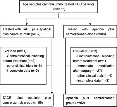 Apatinib Plus Camrelizumab With/Without Chemoembolization for Hepatocellular Carcinoma: A Real-World Experience of a Single Center